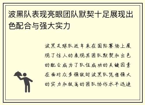 波黑队表现亮眼团队默契十足展现出色配合与强大实力